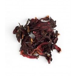 Flor de Hibisco 2