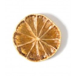 lima deshidratada 10 rodajas para mojito cocteles y combinados de ron 2