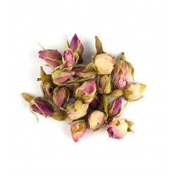 Cubo :: Rosas Persas 2