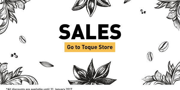 Sales 2017: Toque products