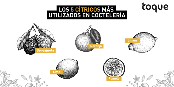 Los 5 cítricos más utilizados en coctelería