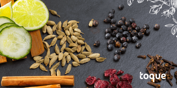 Especias para Gin Tonic: los imprescindibles